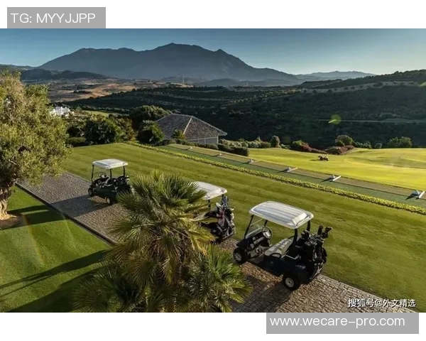 夜店风潮与足球明星:聚焦球场外的精彩生活与独特魅力